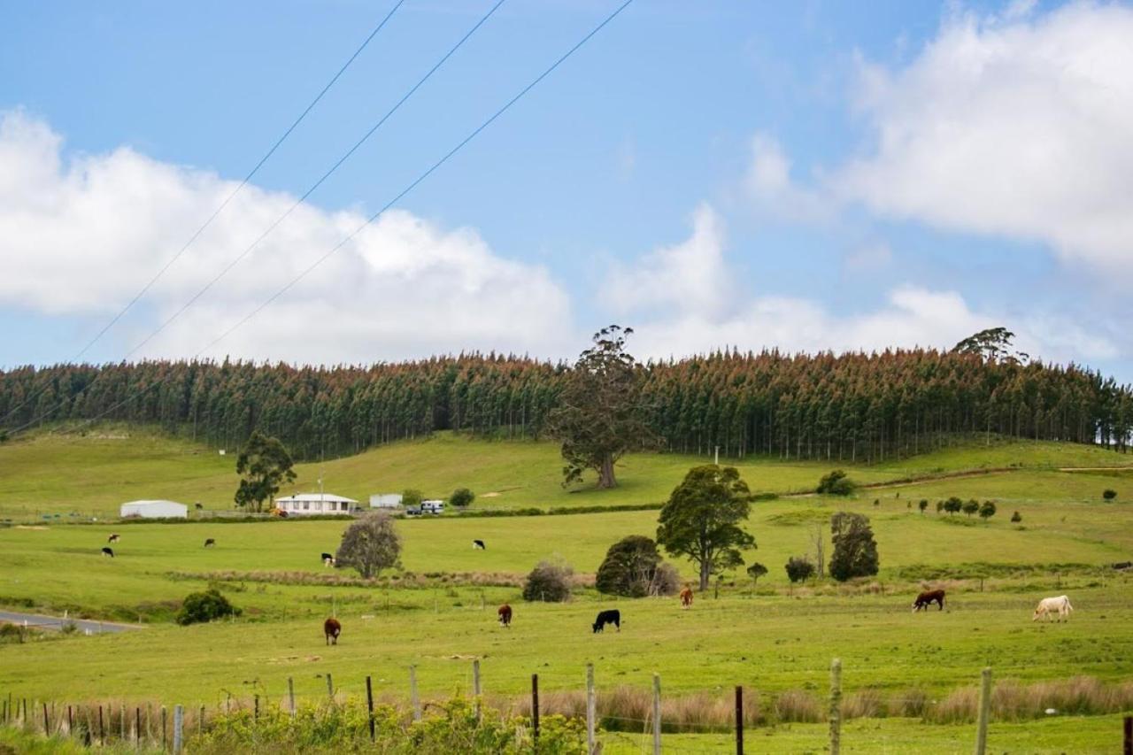 3 Hills At The Good Place Staverton 外观 照片